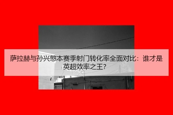 sa-la-he-yu-sun-xing-min-ben-sai-ji-she-men-zhuan-hua-lv-quan-mian-dui-bi-shui-cai-shi-ying-chao-xiao-lv-zhi-wang-3-354.jpg