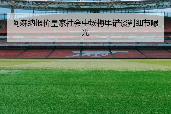 a-sen-na-bao-jia-huang-jia-she-hui-zhong-chang-mei-li-nuo-tan-pan-xi-jie-bao-guang-2-706.jpg